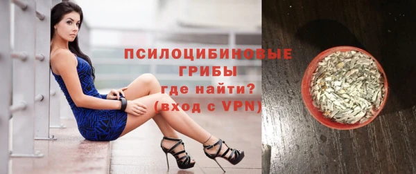 спиды Верея