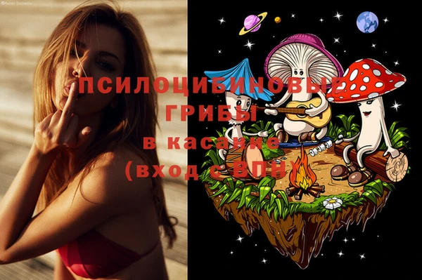 дмт Верхний Тагил