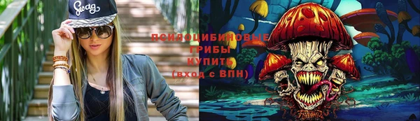 спиды Верея