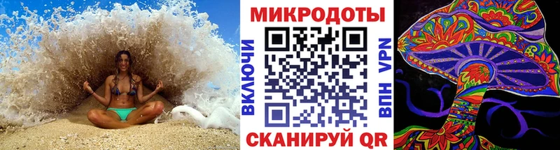 ссылка на мегу ONION где купить наркоту Городец Псилоцибиновые грибы ЛСД