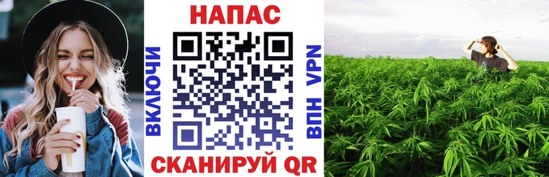 Конопля ГИДРОПОН Городец